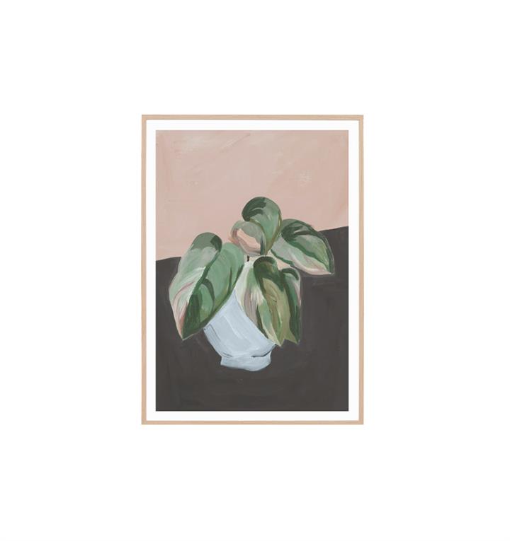 Plant Study I Wall Art Print by Interior Secrets - AfterPay Available